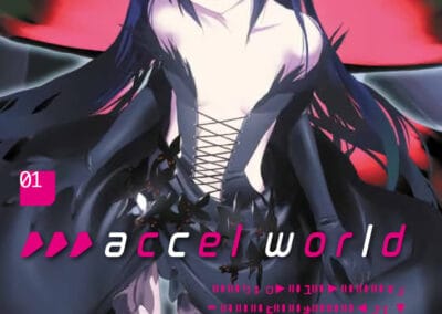 Descargar Accel World Novela Ligera en Español