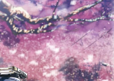 Descargar 5 Centimeters per Second Novela Ligera en Español