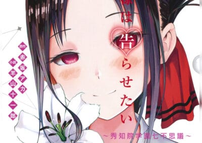 Descargar Kaguya Wants to be Confessed to – Novela Ligera en Español