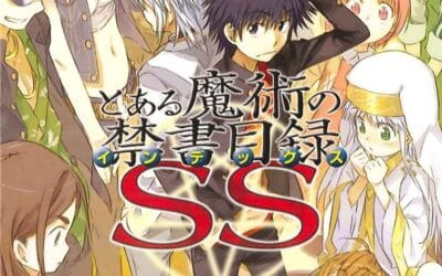 Descargar Toaru Majutsu no Index SS – Novela Ligera en Español