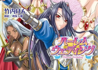 Descargar Harem Wedding Novela Ligera en Español