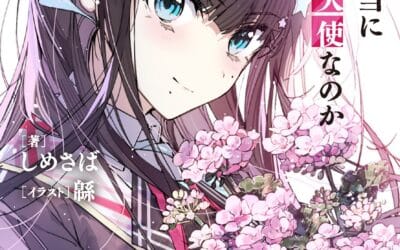 Descargar Kimi wa Hontouni Boku no Tenshi nano ka Novela Ligera en Español