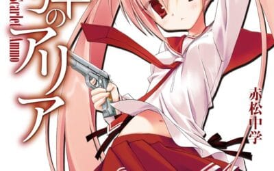 Descargar Hidan no Aria Novela Ligera en Español