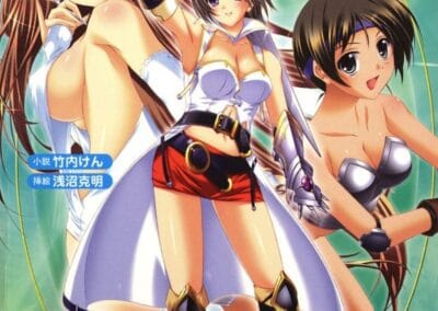 Descargar Harem Fighter Novela Ligera en Español