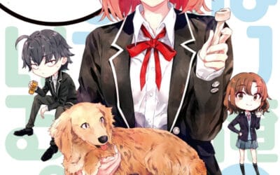 Descargar Yahari Ore no Seishun Rabukome wa Machigatte Iru / Oregairu: Yui’s Story Novela Ligera en Español