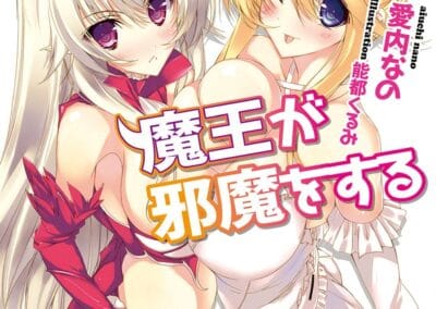 Descargar Yuusha to Ohime-sama no Naka wo Maou ga Jama wo Suru Novela Ligera en Español
