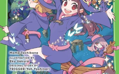 Descargar Little Witch Academia Novela Ligera en Español