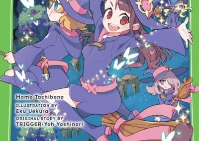 Descargar Little Witch Academia Novela Ligera en Español