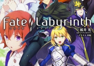 Descargar Fate/Labyrinth Novela Ligera en Español