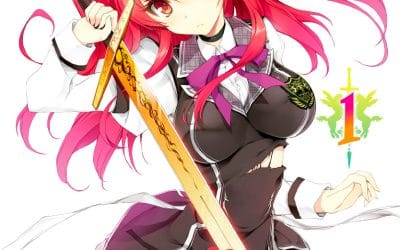 Descargar Rakudai Kishi no Cavalry Novela Ligera en Español
