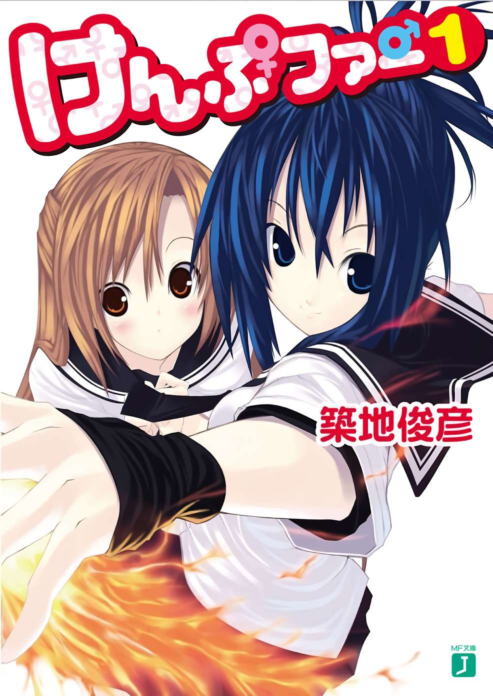 Descargar Kämpfer Novela Ligera en Español