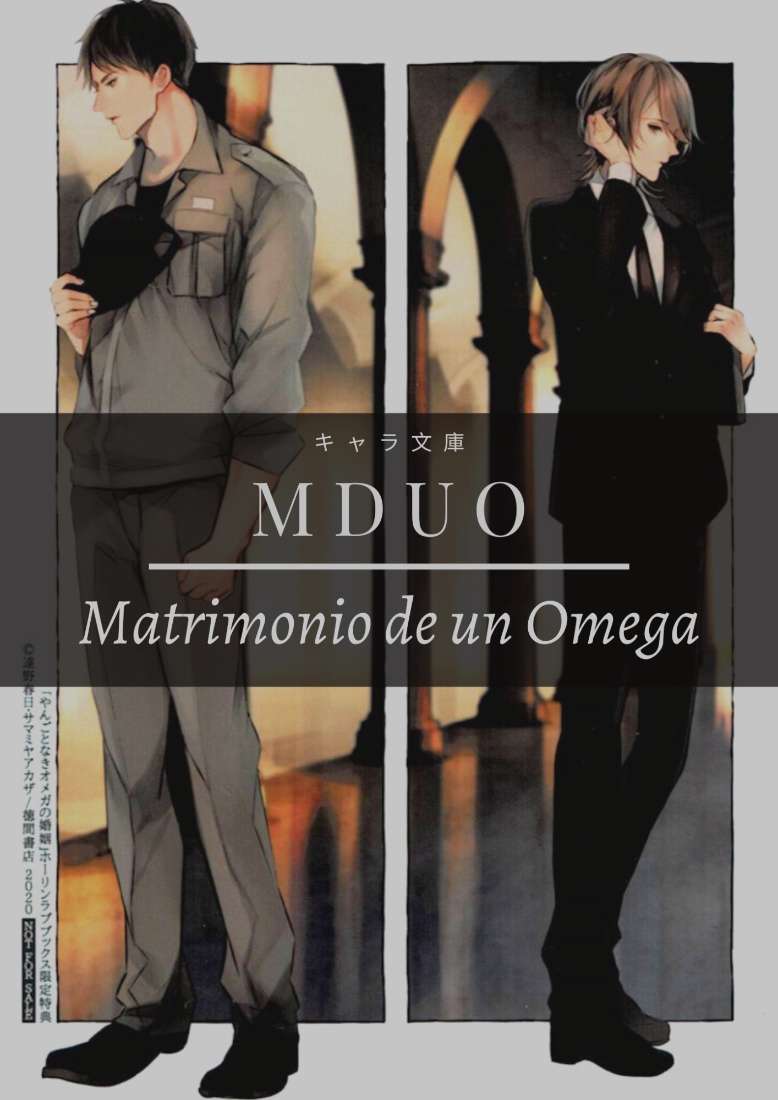 Descargar Marriage of an Omega Novela Ligera en Español