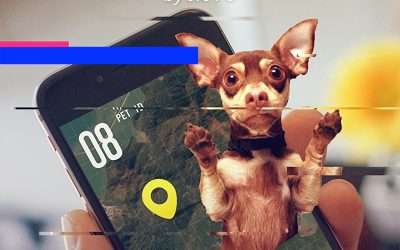 Descargar Pet King Novela Web en Español