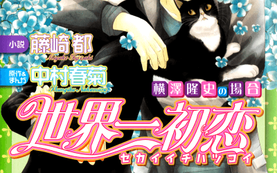 Descargar Sekaiichi Hatsukoi: Yokozawa Takafumi no Baai Novela Ligera en Español
