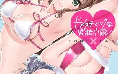 Descargar Domestic na Sensual Novela Ligera en Español