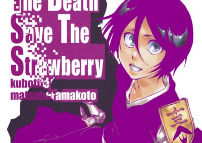 Descargar Bleach: The Death Save the Strawberry Novela Ligera en Español