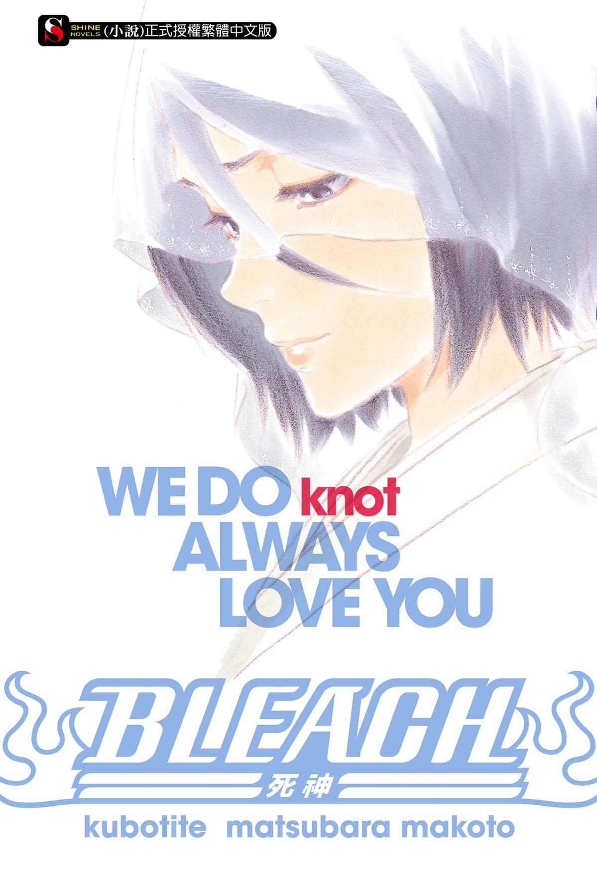 Descargar Bleach: WE DO knot ALWAYS LOVE YOU Novela Ligera en Español