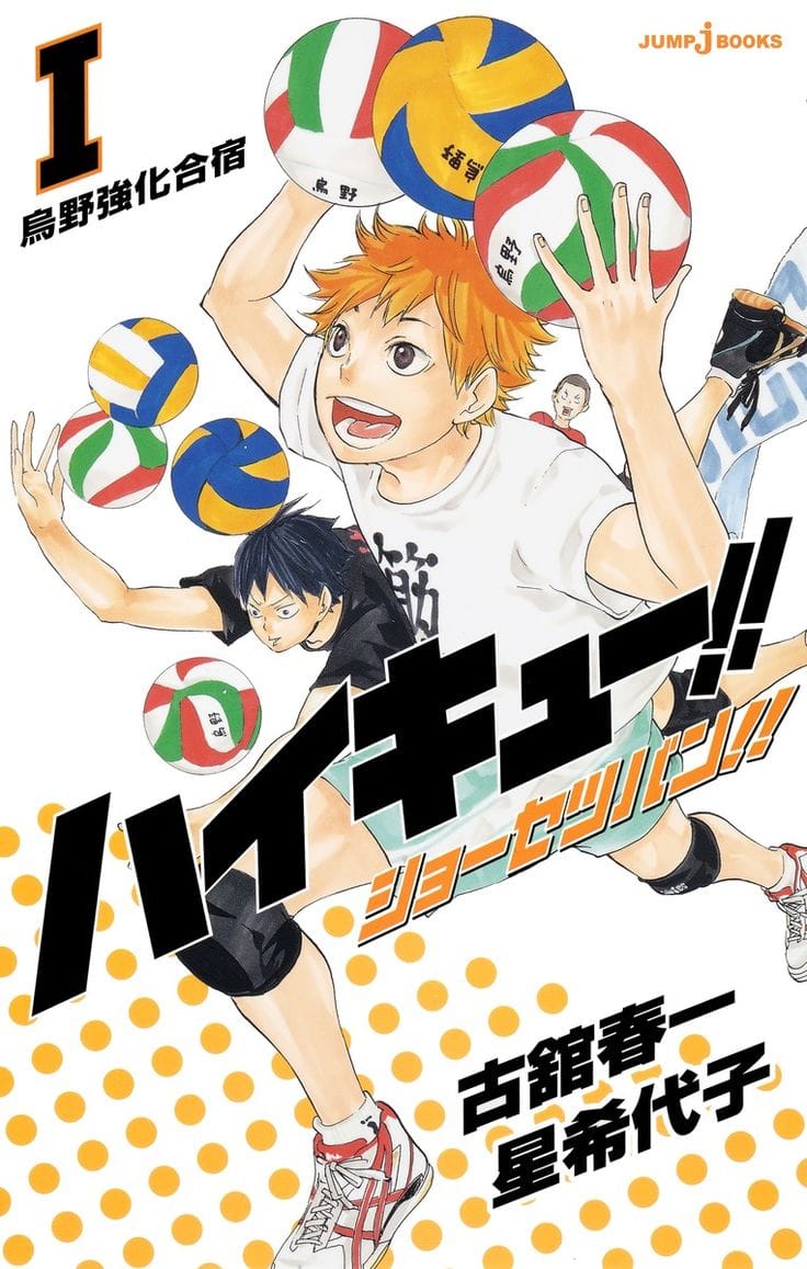 Descargar Haikyuu!! Shousetsu-ban!! Novela Ligera en Español