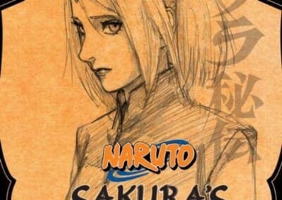 Descargar Naruto: Sakura Hiden Novela Ligera en Español
