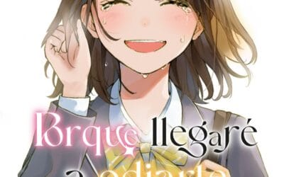 Descargar Anata no Koto wo, Kirai ni Naru kara Novela Ligera en Español