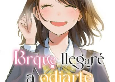 Descargar Anata no Koto wo, Kirai ni Naru kara Novela Ligera en Español