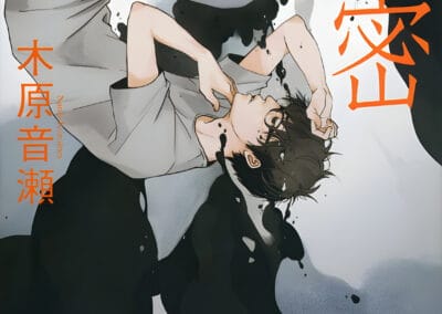 Descargar Secret Novela Ligera en Español