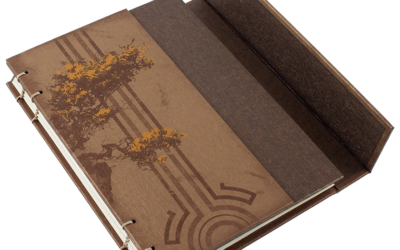 Descargar Dr. Halsey’s personal journal en Español