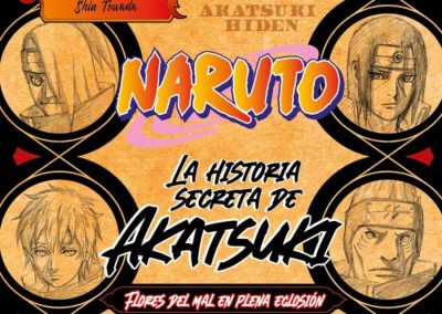 Descargar Naruto: Akatsuki Hiden Novela Ligera en Español