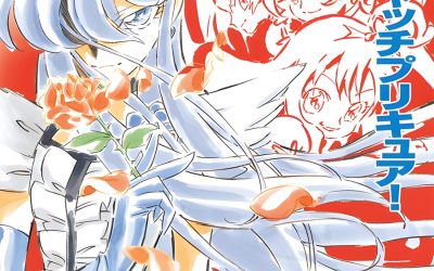 Descargar Heartcatch Pretty Cure! Novela Ligera en Español
