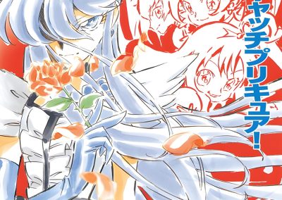 Descargar Heartcatch Pretty Cure! Novela Ligera en Español
