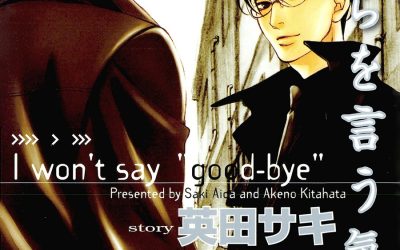 Descargar I Won’t say “Good-bye” Novela Ligera en Español