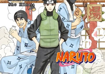 Descargar Naruto: Konoha Shinden Novela Ligera en Español
