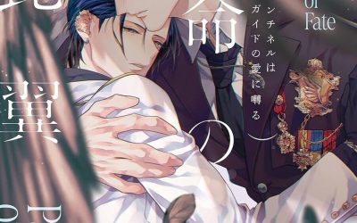Descargar Pairing of Fate Novela Ligera en Español