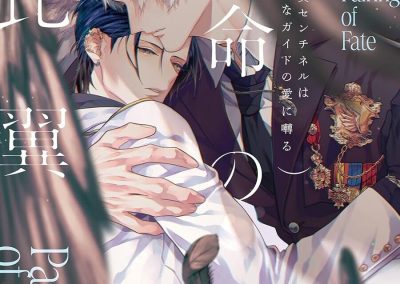 Descargar Pairing of Fate Novela Ligera en Español