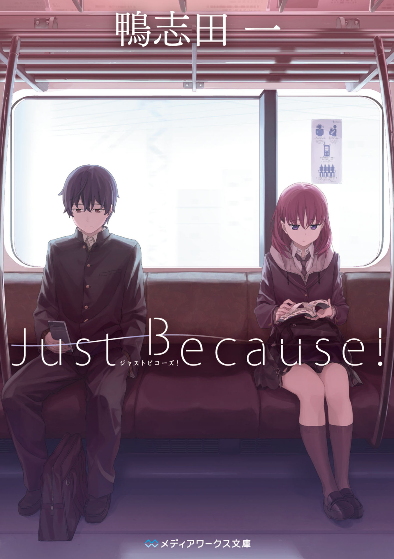 Descargar Just Because! Novela en Español