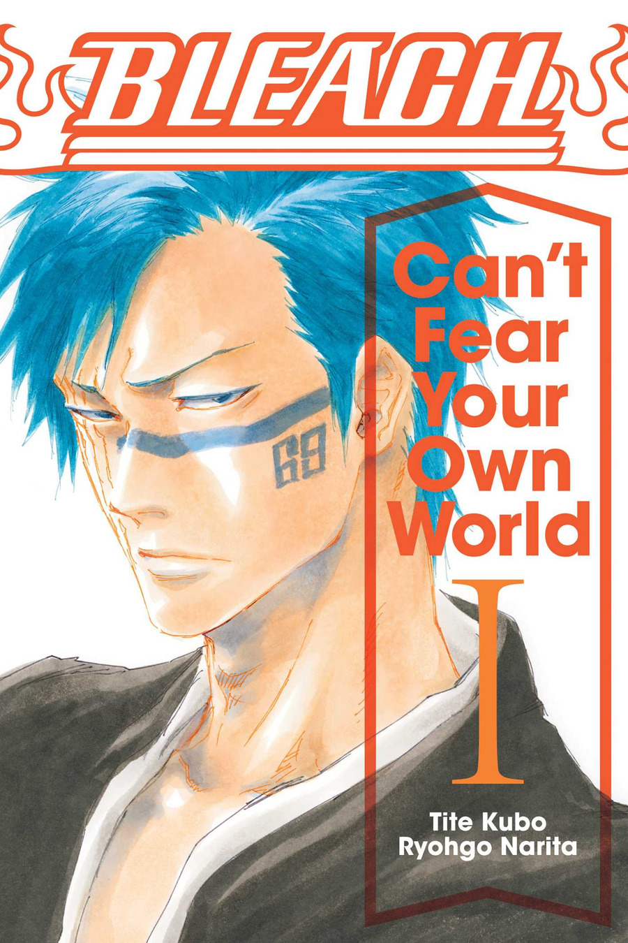 Descargar Bleach: Can’t Fear Your Own World Novela Ligera en Español