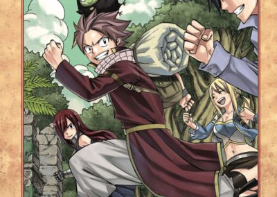 Descargar Fairy Tail: After the Grand Magic Games Novela Ligera en Español