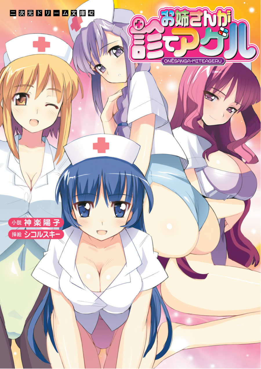 Descargar Onee-san Will Examine You Novela Ligera en Español