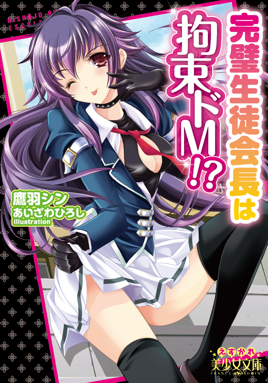 Descargar The Flawless Student Council President Is a M Freak!? Novela Ligera en Español